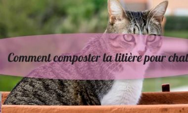 fabriquer compost litiere chat