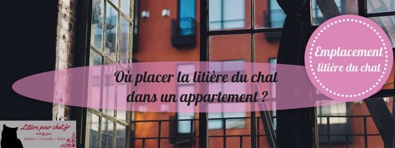 comment placer la litière en appartement ou loft ?