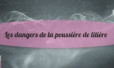 Attention danger avec la poussière de litière