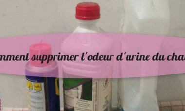 conseils pour enlever les odeurs d'urine d'un chat