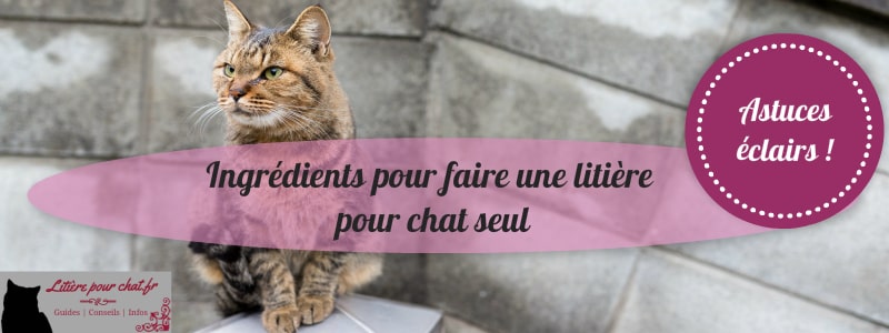 fabrication litiere chat : simple et pas cher