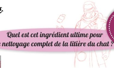 vinaigre blanc et litiere pour chat : la solution génial pour le nettoyage