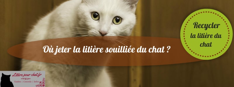 savoir dans quelle poubelle mettre la litière souillée