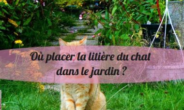 mettre litiere du chat dans le jardin