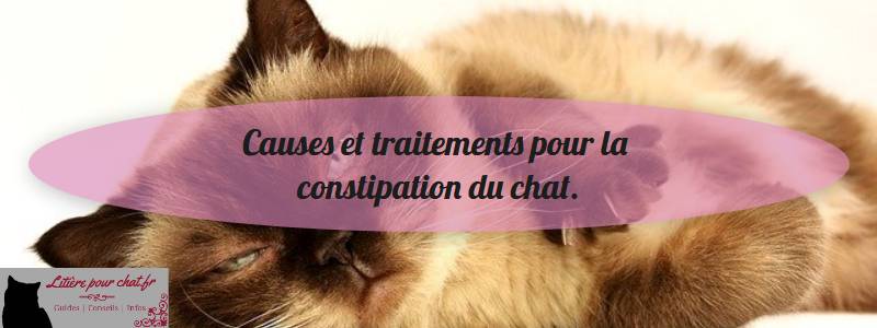 savoir si un chat est constipé